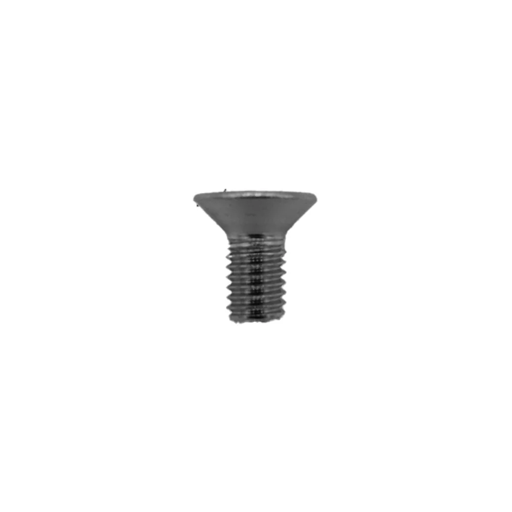 Dualtron steering screw