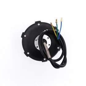 Motor (Delantero/Trasero) Dualtron Victor