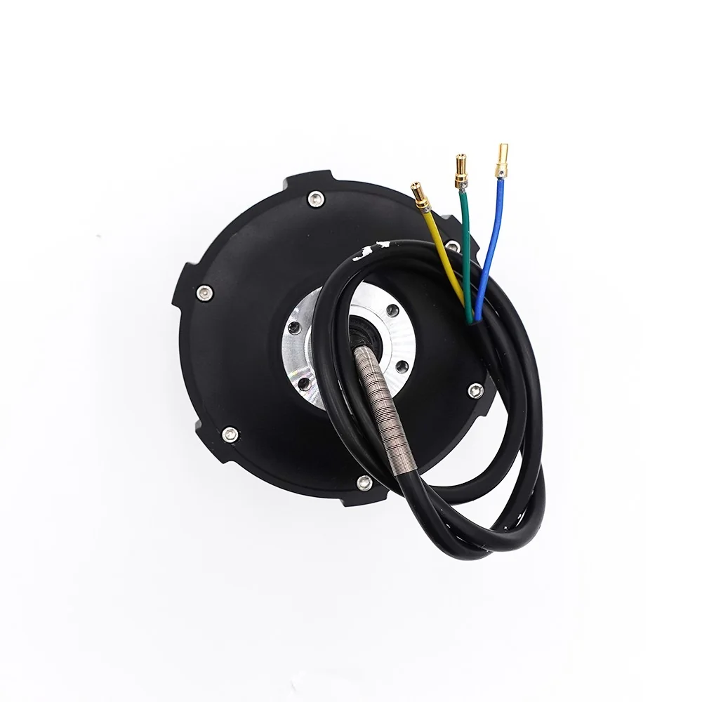 Motor (vorne/hinten) Dualtron Victor