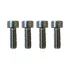 Dualtron Mini X4 handlebar support screw