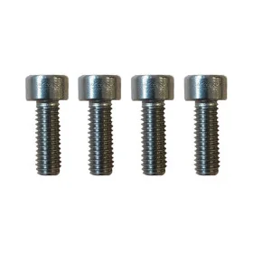 Schrauben für Lenkerhalterung Dualtron Mini X4