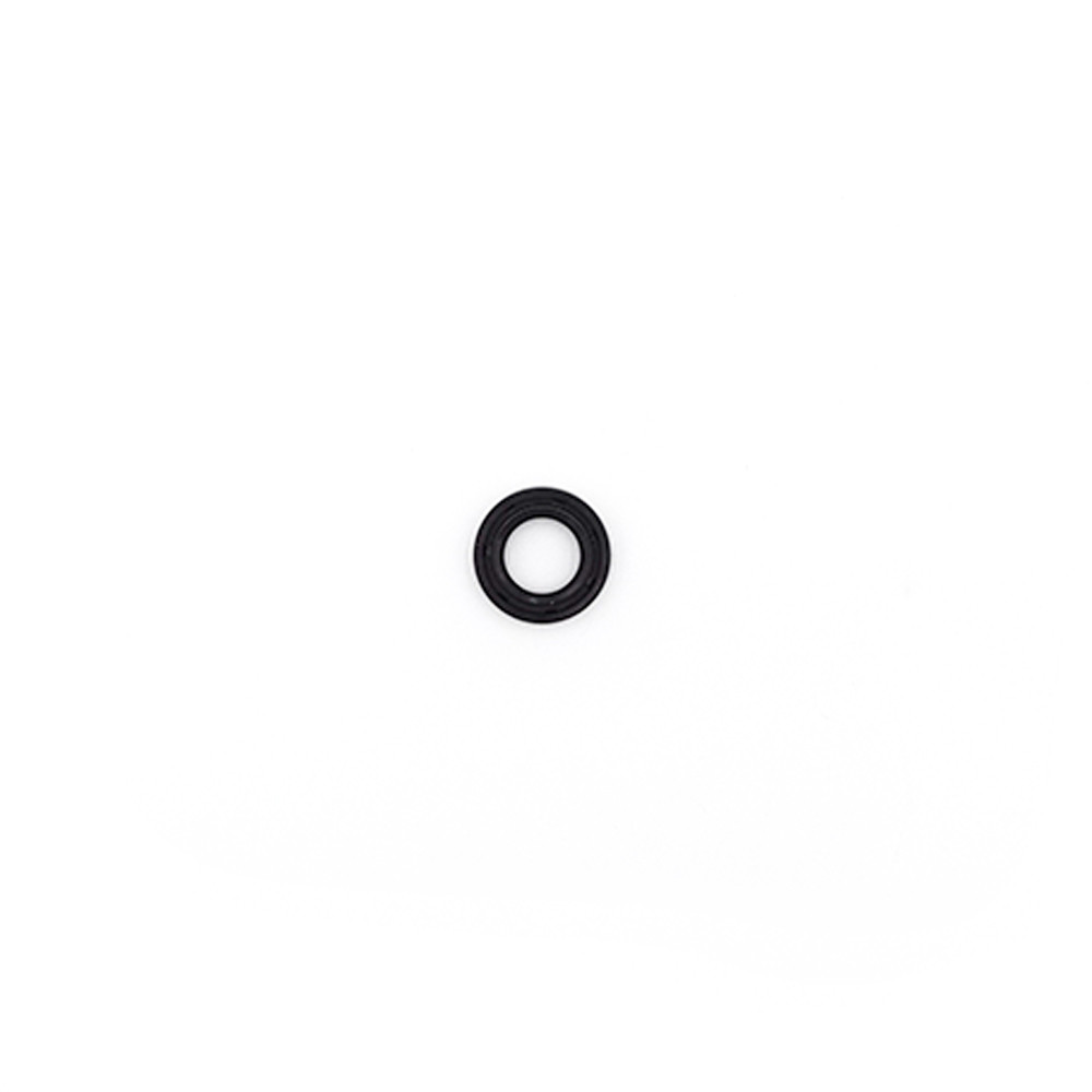 Spi gasket small Dualtron engine X10pcs