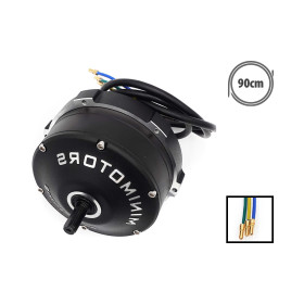 Motor (Delantero/Trasero) Dualtron Victor