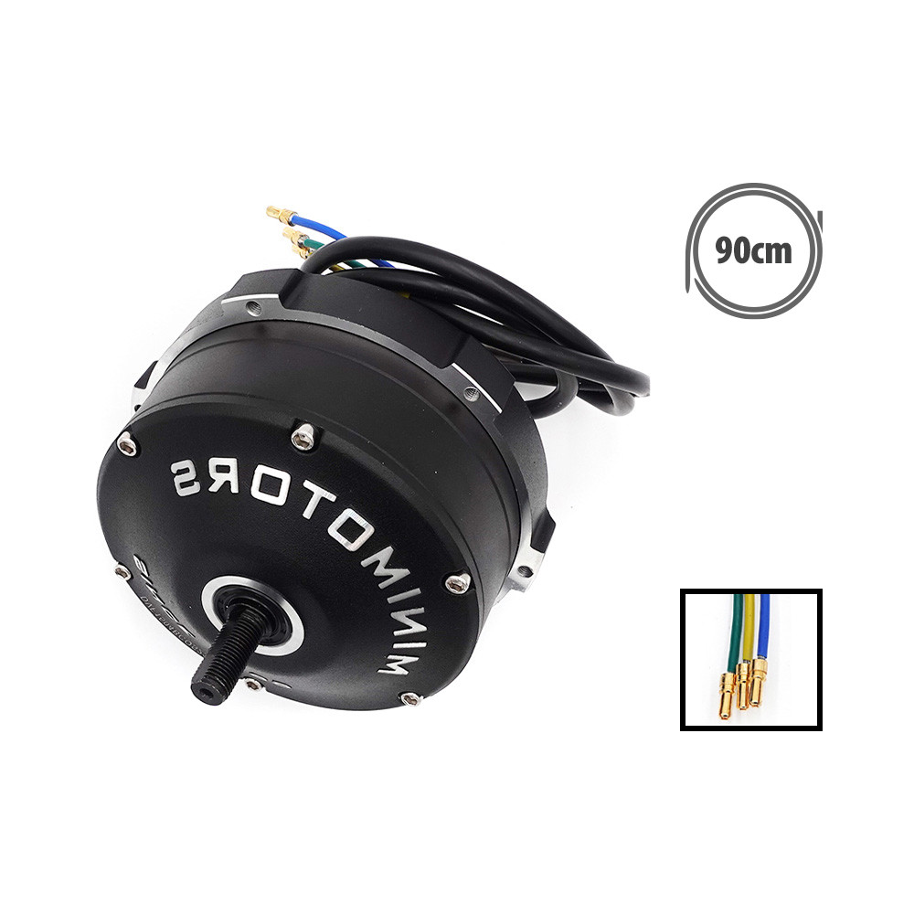 Motor (Delantero/Trasero) Dualtron Victor