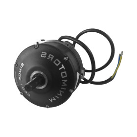 Motor trasero / Delantero Dualtron Achilleus
