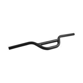 Lenker Dualtron Mini