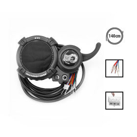 Display Minimotors Dualtron Ey3 verbunden