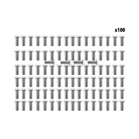 Dualtron Mini deck screws x100pcs