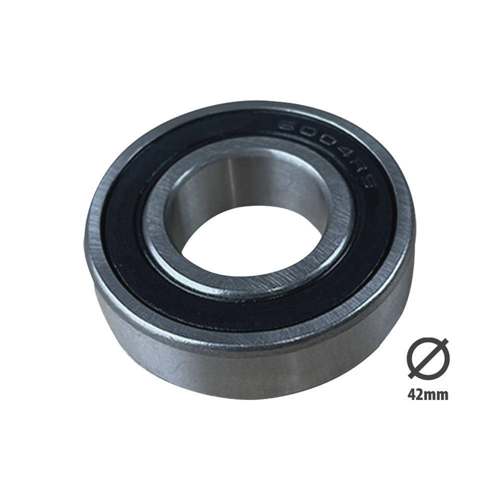 6004 2RS bearing
