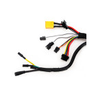 Controleur 36V 25A Dualtron Togo pour trottinette électrique - wattiz