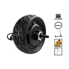 52V 800W motor for rear Z8X