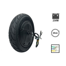 Moteur Ninebot F30 250W pour trottinette électrique - Wattiz