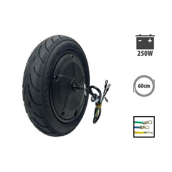 Moteur Ninebot F30 250W pour trottinette électrique - Wattiz