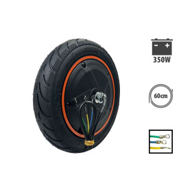 Ninebot F40 350W motor