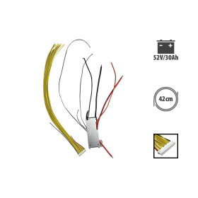 Bms Dualtron Mini 52V 30A V2 (Especial Aminia, Mini motor de cuerpo largo simple)