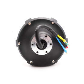 Motor trasero Dualtron Togo Ltd