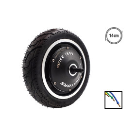 Motor Dualtron Aminia