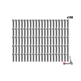 Dualtron Mini rear wheel BTR screws (x100 pcs)