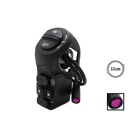 Swicth Smartgyro Urbanglide E-cross