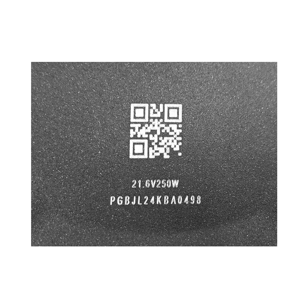 Motor del Ninebot E2