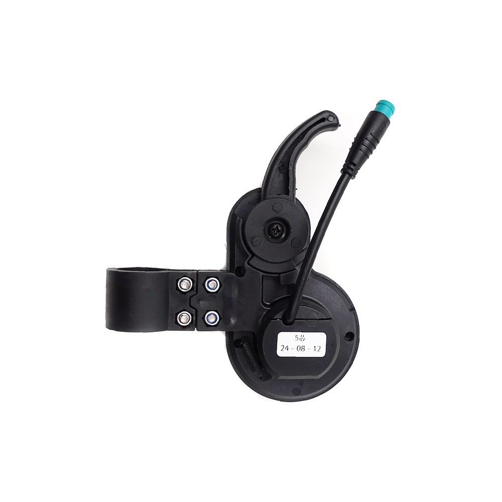 Display TF-100 5 pins 24V 36V 48V