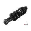 Z10X rear shock absorber
