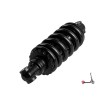 Vsett10 Rear shock absorber