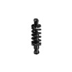 Vsett10 Rear shock absorber