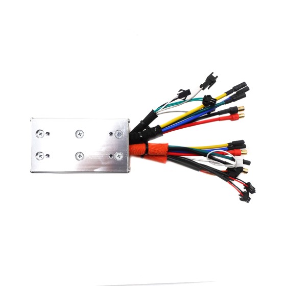 Kontroler Dualtron New Victor Limited|Minimotors