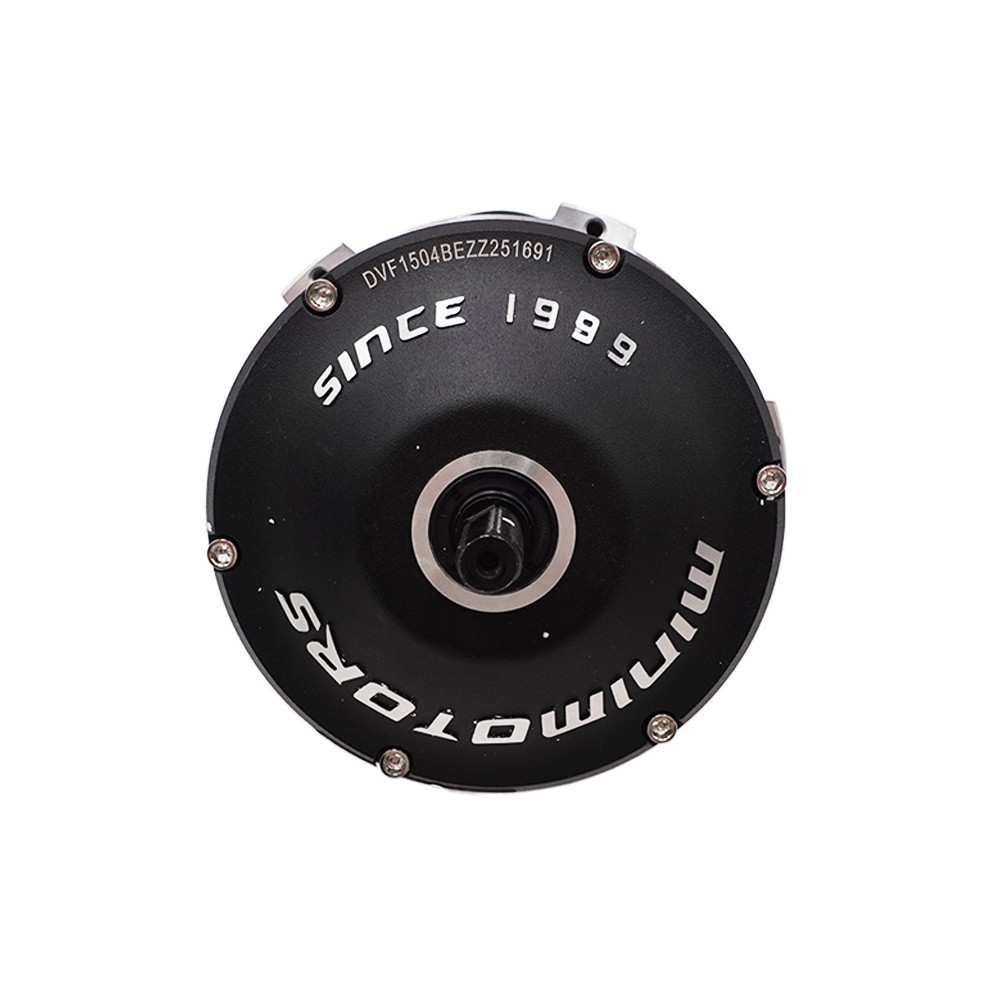 Dualtron Victor-Motor (vorne) für E-Tretroller - wattiz