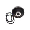 Speedway 5- und Dualtron Dt3-Motor für E-Tretroller - wattiz