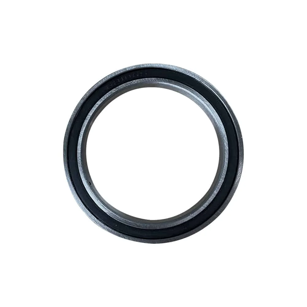 6810 2RS Bearing