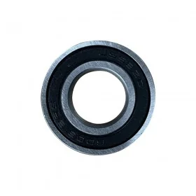 Lager 6003 2RS