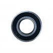 6003 2RS bearings