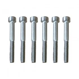 Dualtron Mini X6 BTR screws