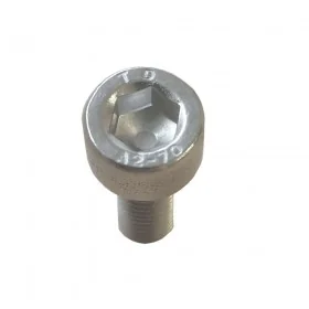 Schraube Lenkerhalterung Dualtron Mini X4