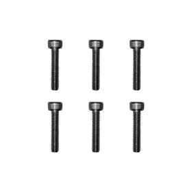 Vis jantes moteurs Dualtron sauf Mini X6 pcs
