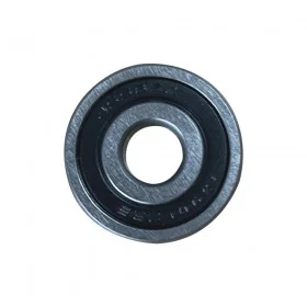 6200 2RS Speedway Mini 4 Pro front bearings