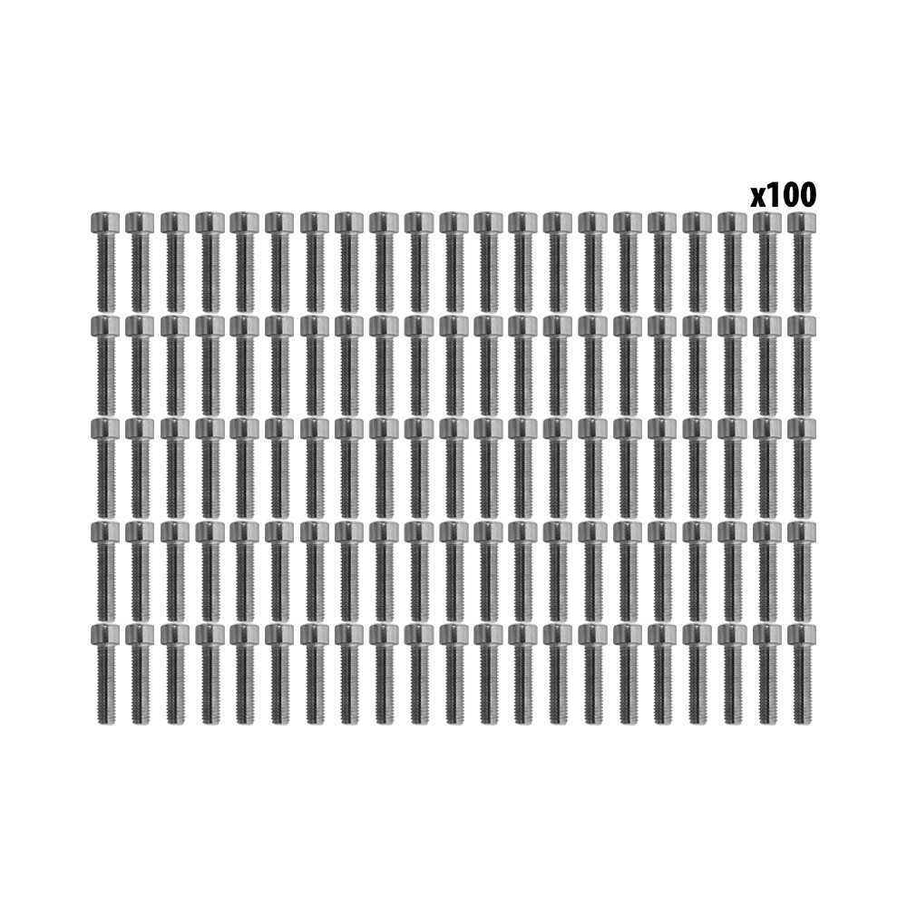 Vis BTR roue Ar Dualtron Mini (x100 pcs)